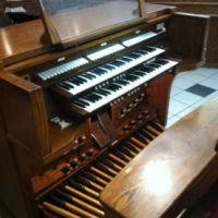 organ1